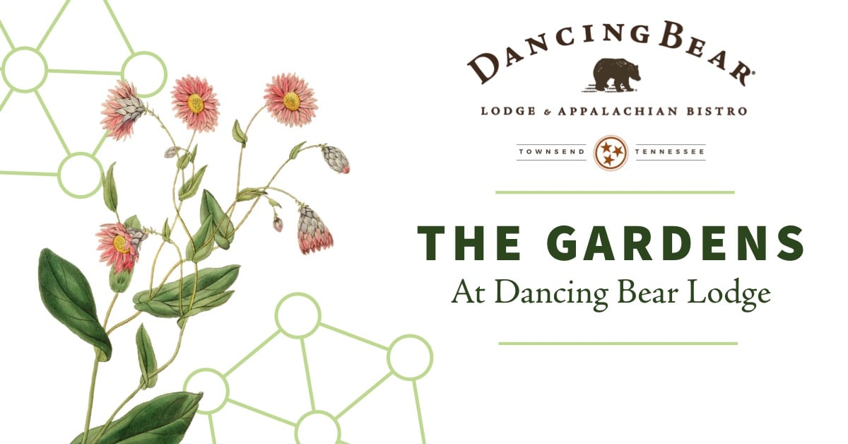 The Gardens – at Dancing Bear Lodge