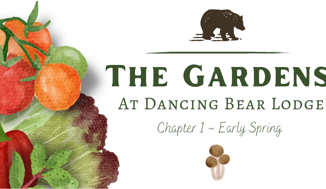 The Dancing Bear Gardens Spring into Action – 2022 Early Planning