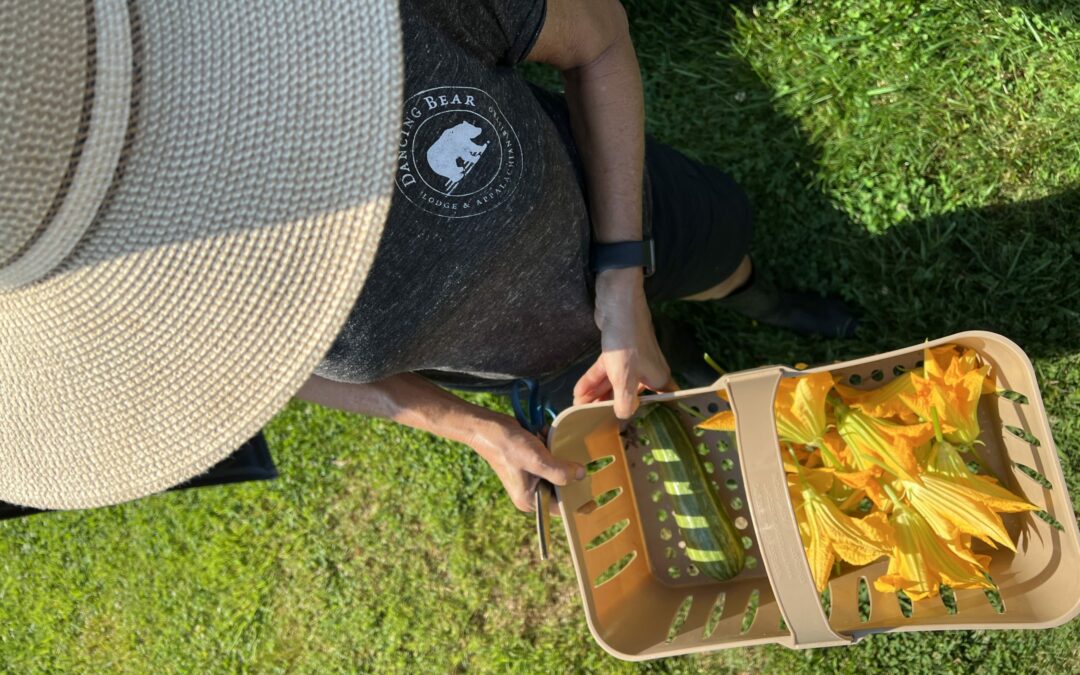 Farm-To-Table Stories: Cast Iron Times | Episode One ~ Squash Blossoms