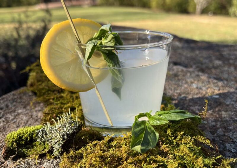 Spring Limoncello Cocktail