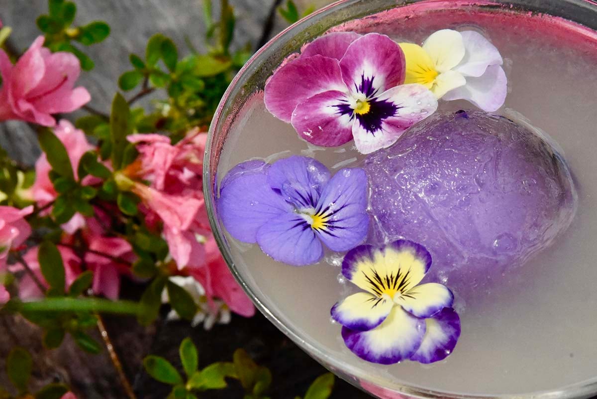 Jump Into Spring Drink