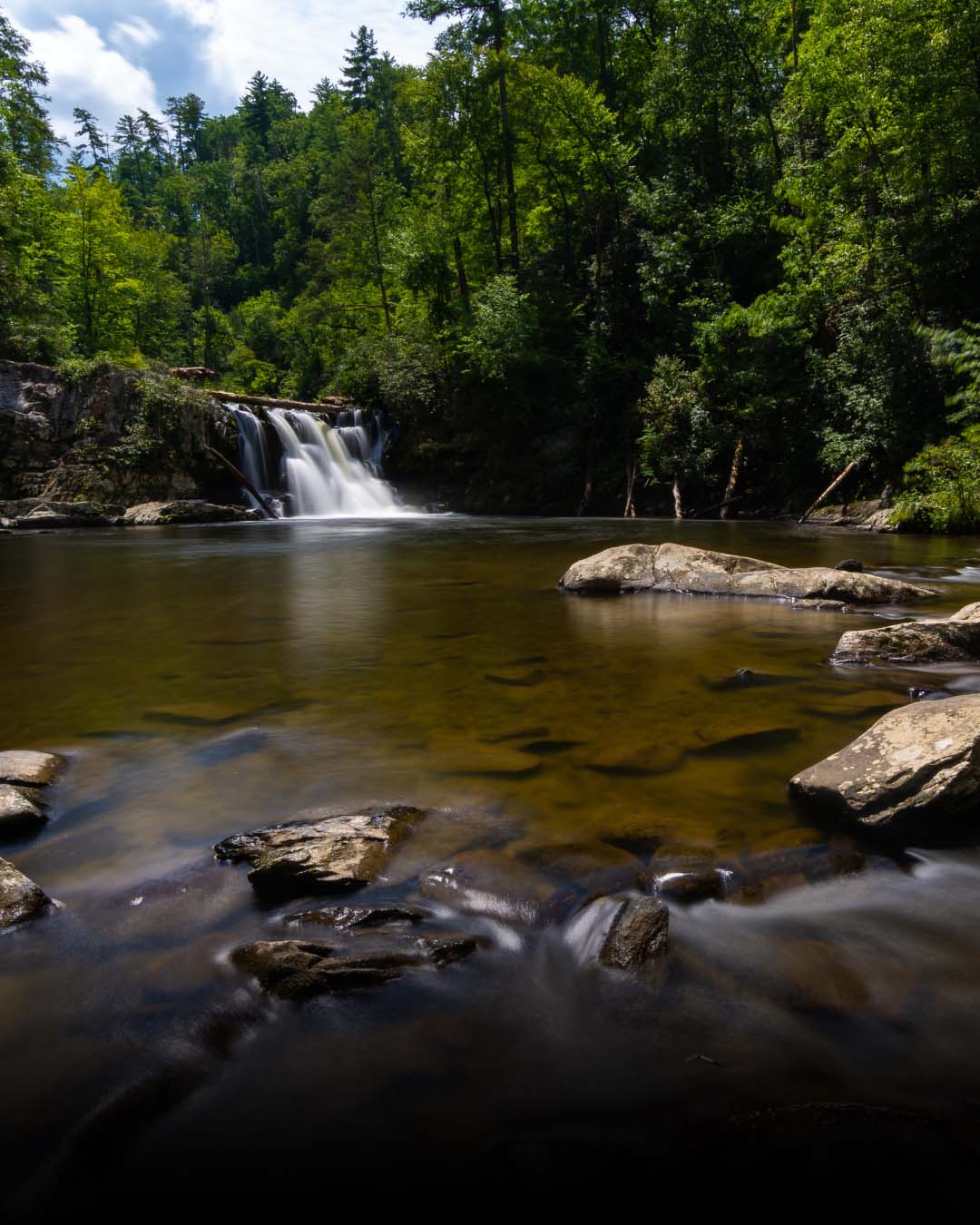 Trail Spotlight: Hike to Abrams Falls