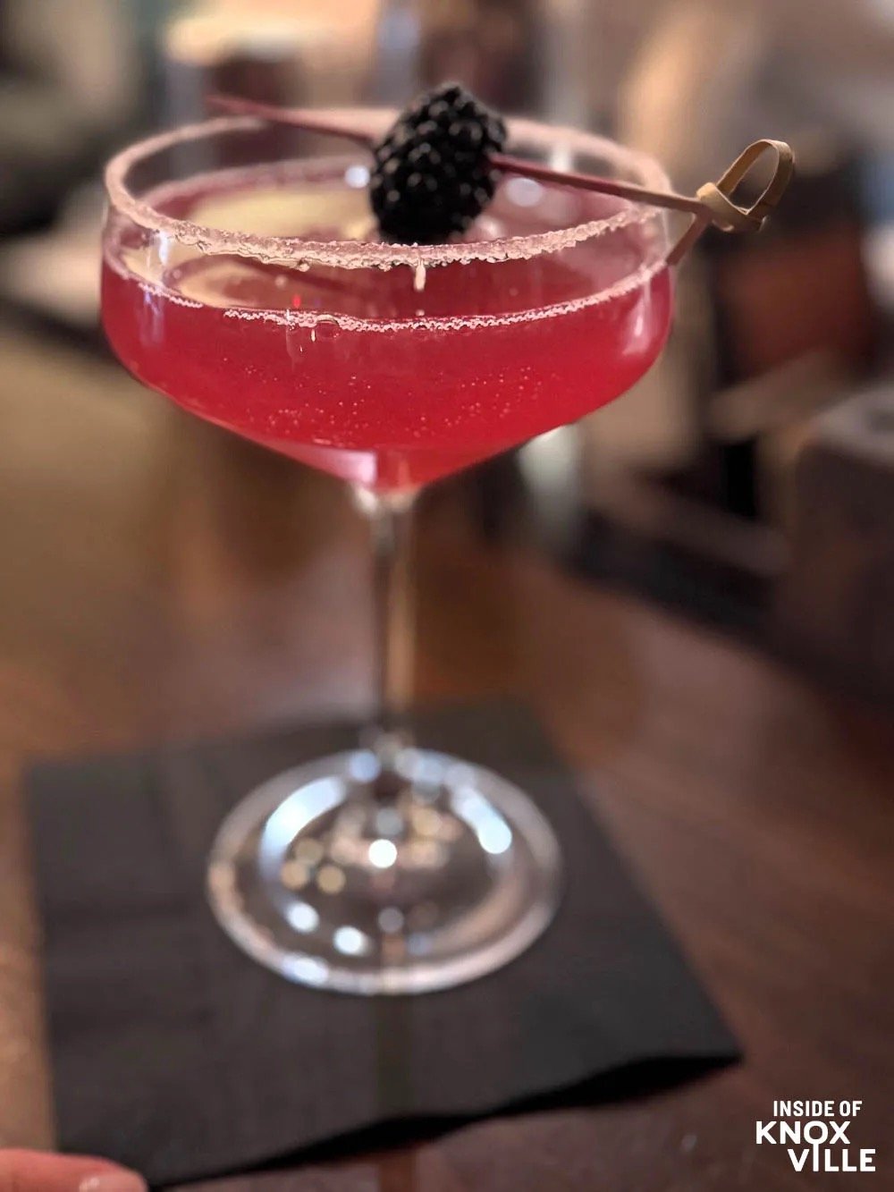 Dancing Bear featured on Inside of Knoxville