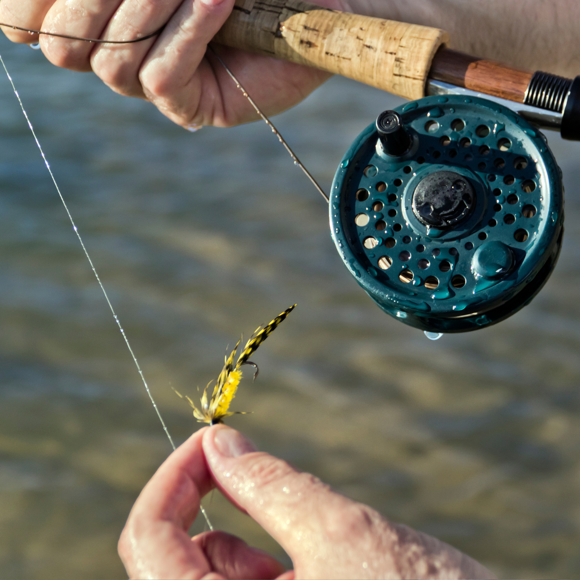 Fishing in the Smokies