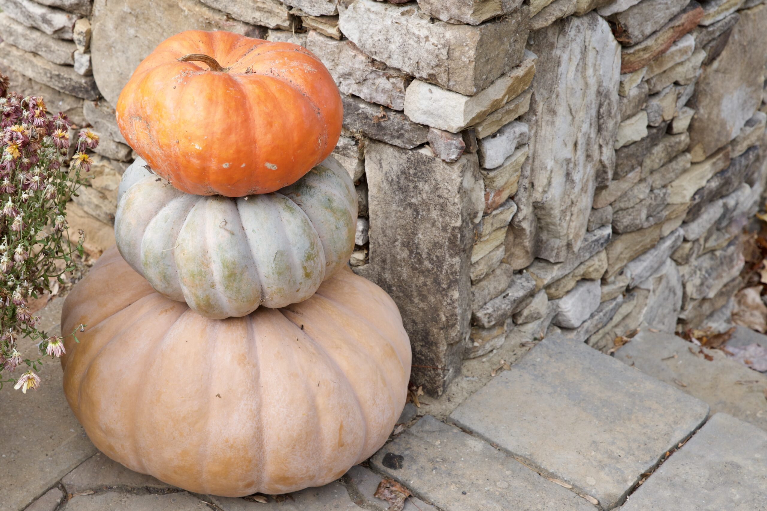 What’s Happening in Townsend: September!