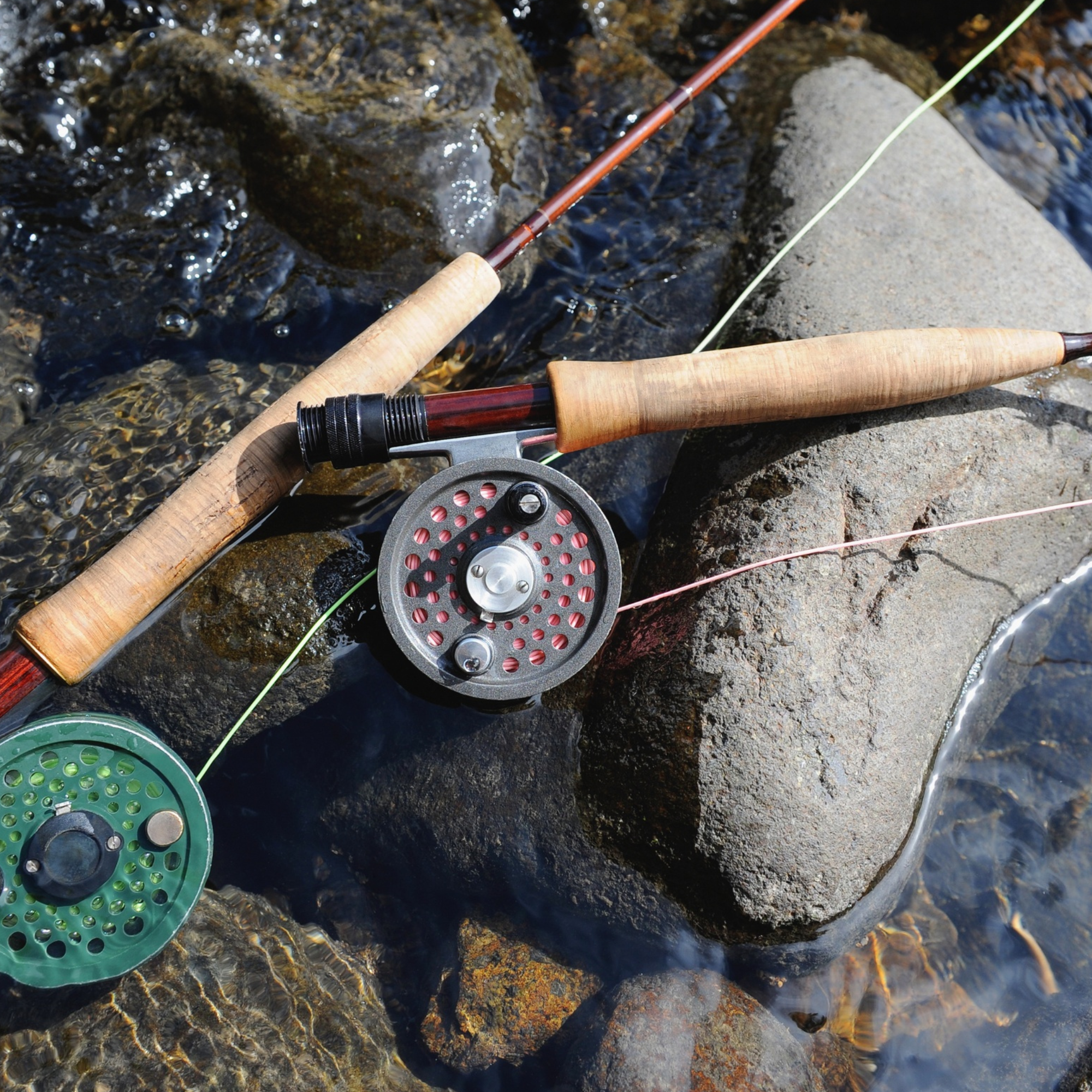 Fishing in the Smokies II