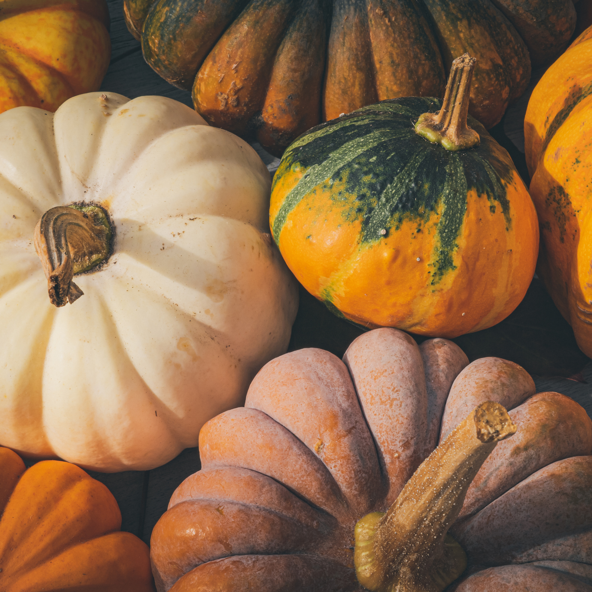 What’s Happening in Townsend: October!