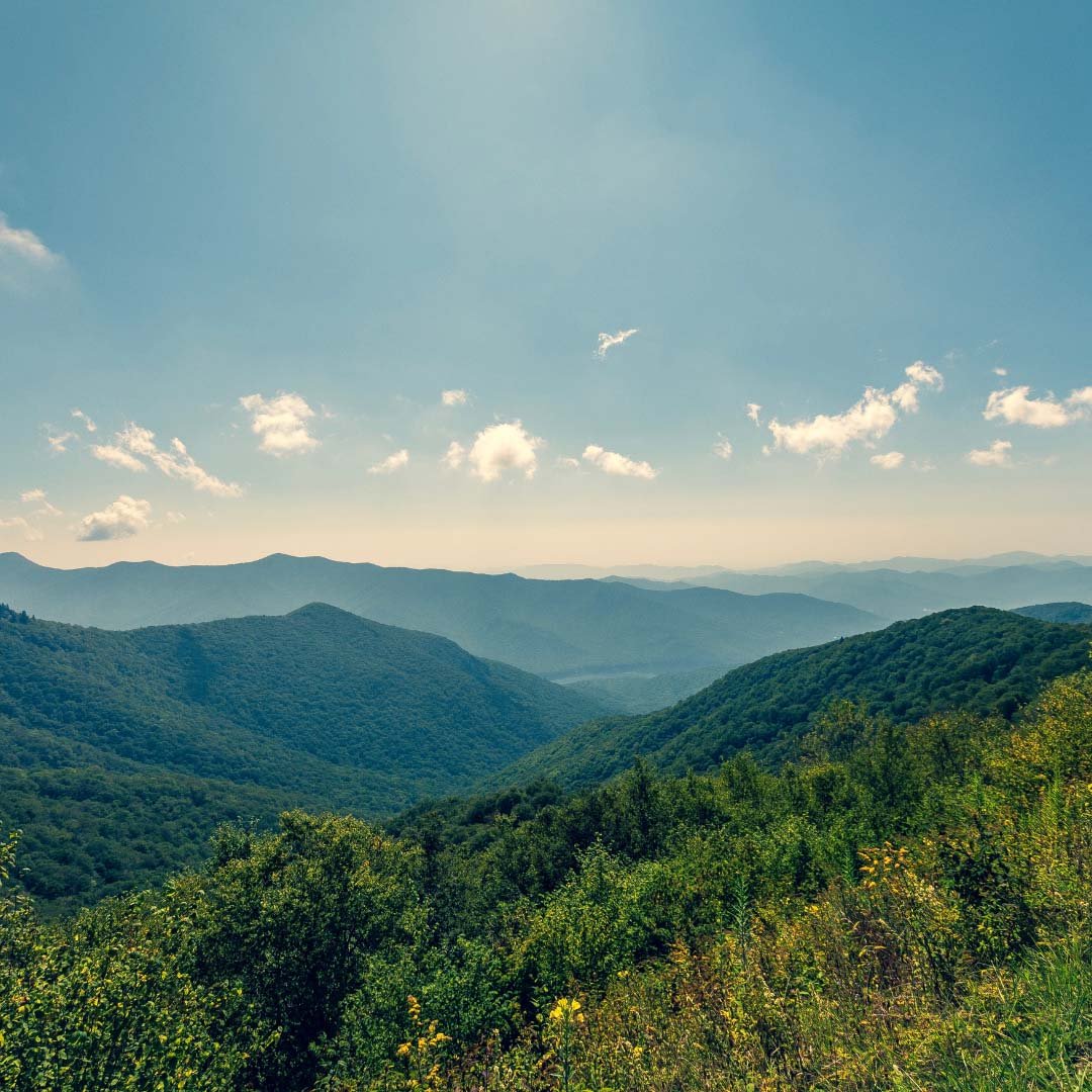 Appalachian Homecoming