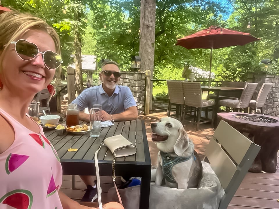 Dog Days of Summer